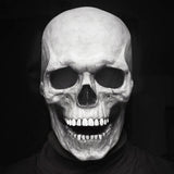 Skull Halloween Costume Mask - image 1