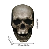 Skull Halloween Costume Mask